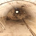 Vaulted cellar conversion